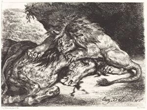 Bloodthirsty Gallery: Lion Devorant un Cheval (Lion Devouring a Horse), 1844. Creator: Eugene Delacroix