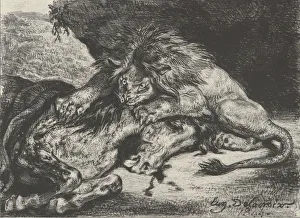 Biting Prints: Lion Devouring a Horse, 1844. 1844. Creator: Eugene Delacroix
