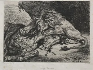 1798 1863 Prints: Lion Devouring a Horse, 1844. Creator: Eugene Delacroix (French, 1798-1863); Bertauts