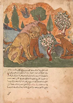 Arabia Prints: The Lion king, With his Mother, Receives Dimna, Folio from a Kalila wa Dimna