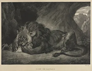 1798 1863 Prints: Lion de lAtlas, 1829. Creator: Eugene Delacroix (French, 1798-1863)