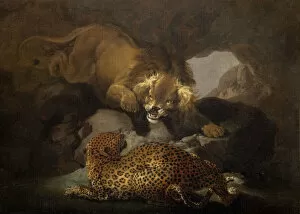 Big Cat Gallery: Lion And A Leopard, 1820. Creator: Samuel Howitt