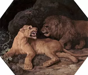 Fierce Gallery: Lion and Lioness, 1770. Creator: George Stubbs