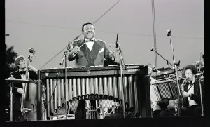 Hertfordshire Gallery: Lionel Hampton, Knebworth, 1982. Artist: Brian O Connor