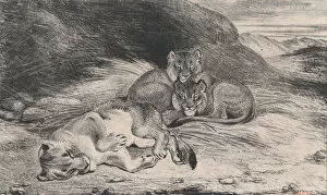 Antoine Louis Barye Collection: Lioness and Cubs, possibly 1832. Creator: Antoine-Louis Barye