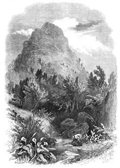 Undergrowth Prints: The Lion's Head Mountain, near Capetown, Cape of Good Hope, 1868. Creator: Unknown