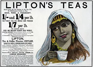 Advert Collection: Liptons Teas advertisement, 1893