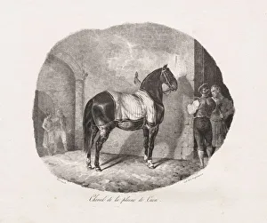 1791 1824 Prints: Lithographed Studies of Horses: Pl. 7, Horse from the Caen Plain, 1822