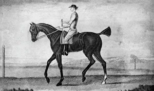 Little Driver, c1850-1900, (1911)