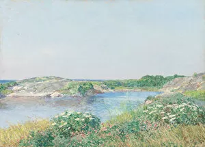 Wildflower Gallery: The Little Pond, Appledore, 1890. Creator: Frederick Childe Hassam