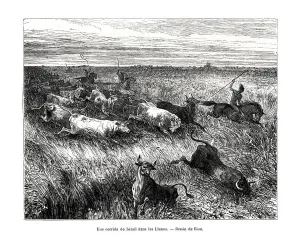 Venezuela Prints: Livestock, Los Llanos, Venezuela, 19th century. Artist: Edouard Riou