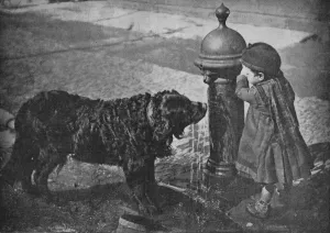 Water Supply Prints: He liveth best who loveth best, All things great and small, 1900. Artist: Charles Read