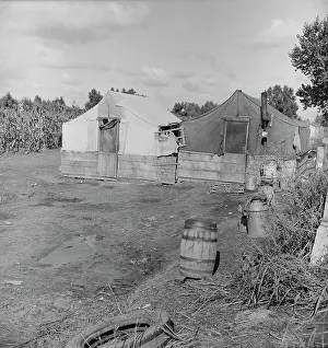 Flue Prints: Living conditions of the migrant agricultural workers