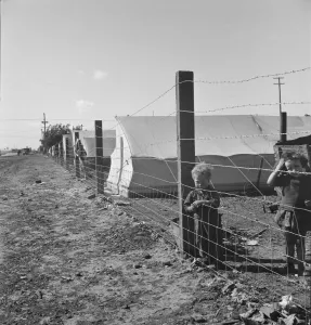Displaced Persons Collection: Living conditions for migratory children, pea harvest, outskirts of Calipatria, CA, 1939