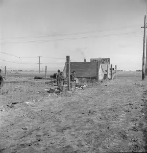 Tent City Collection: Living conditions for migratory laborers in private auto camp, Calipatria, Imperial County, 1939