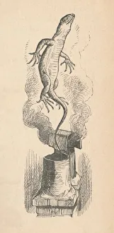 Chimney Prints: The Lizard, 1889. Artist: John Tenniel