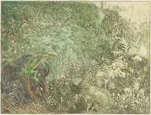 Hoytema Theo Van Prints: Lizard on a stone, 1878-1917. Creator: Theo van Hoytema