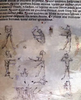 Zoomorphic Prints: Llibre vermell (Red Book). Manuscript No