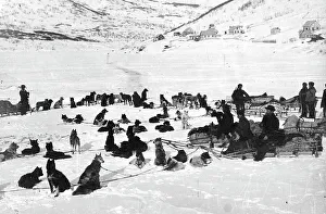Russian Federation Prints: Loaded dog sleds on Petropavlovsk-Kamchatsky Square