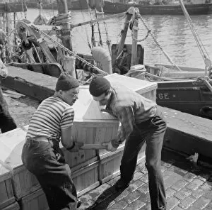 Loaders placing fish that has been taken from boats, boxed, and iced, aboard... New York, 1943. Creator: Gordon Parks