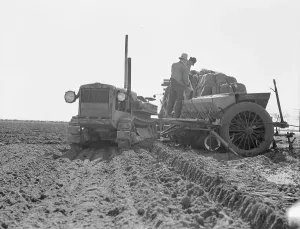 Seed Prints: Loading bins of potato planter with fertilizer and seed