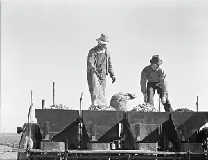 Seed Prints: Loading bins of potato planter with fertilizer and seed from trailer