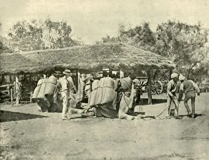 Loading Camels, on an Australian Station, 1901. Creator: Unknown Loading Camels, on an Australian Station, 1901. Creator: Unknown