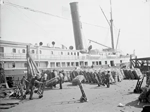Wharves Prints: Loading cotton into a steamer, Savannah, Ga. c1904. Creator: Unknown