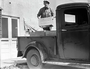 Resettlement Prints: Loading milk at the self-help cooperative dairy