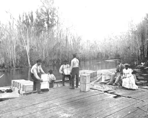 Loading oranges on the Ocklawaha River, Florida, USA, c1900. Creator: Unknown