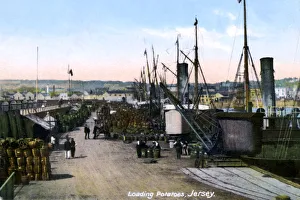 Channel Islands Prints: Loading Potatoes, Jersey, 1908
