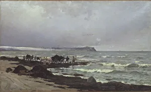Seaweed Prints: Loading seaweed on the beach at Hornbæk, 1882. Creator: Carl Ludvig Locher