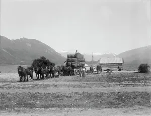 Loading Prints: Loading wool, Pembroke, Lake Wanaka, New Zealand. Creator: Muir & Moodie