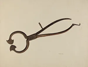 Tongs Prints: Loaf Sugar Cutter, c. 1942. Creator: Thomas Dooley