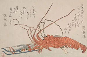 Nephropidae Prints: Lobster, Hamayumi (Ceremonial Miniature Bow) with Arrows and Fans, 18th-19th century