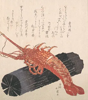 Nephropidae Prints: Lobster on a Piece of Charcoal. Creator: Totoya Hokkei