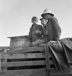 Resettlement Prints: On location of Resettlement Administration film near Bakersfield