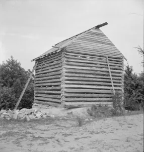 Tenants Prints: Log cabin barn under construction
