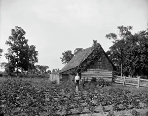 Vegetable Garden Prints: Log cabin, probably Rio Vista, Grosse Ile