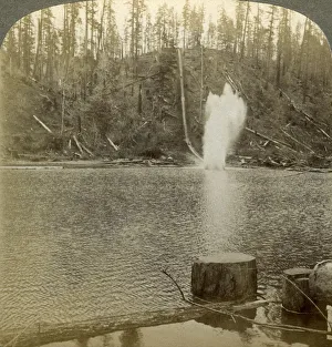 Logging Prints: Log flume, Oregon, USA. Artist: Underwood & Underwood