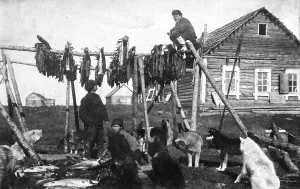 Larin Ivan Emelianovich Prints: A log house covered with bark. Near the house there was a fish drying facility