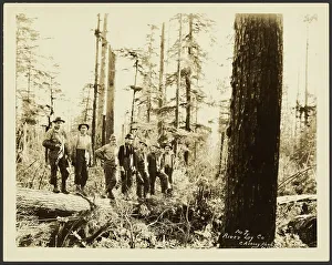 Logging Prints: Loggers, about 1910-1930. Creator: Darius Kinsey