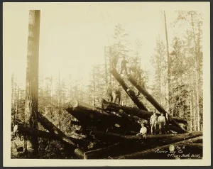 Logging Prints: Loggers, about 1910-1930. Creator: Darius Kinsey