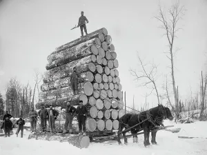 Logging Prints: Logging a big load, between 1880 and 1899. Creator: Unknown