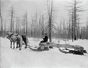 Logging Prints: Logging in Michigan, the sled, between 1880 and 1899. Creator: Unknown