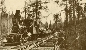 Images Dated 9th April 2019: A Logging Railway, British Coumbia, 1930. Creator: ENA