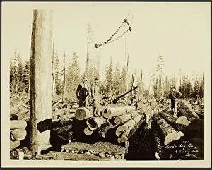 Logging Prints: Logging/ Timber Scene, about 1910-1945. Creator: Darius Kinsey
