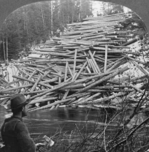 Logs from the Forest Delivered at the Stream, Aroostook County, Me., c1930s Logs from the Forest Delivered at the Stream, Aroostook County, Me., c1930s