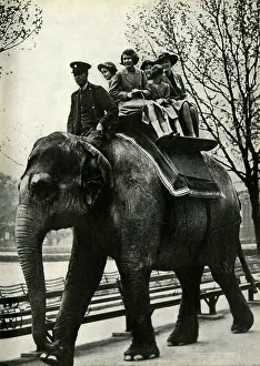 Mahout Prints: At the London Zoo - enjoying a ride on an elephant, 1939, (1947). Creator: Unknown