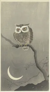 Landscapeanimals And Birds Prints: Long-eared owl on bare tree branch. Creator: Ohara, Koson (1877-1945)